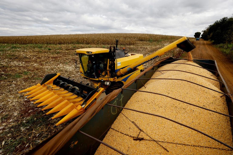 Domínio de décadas do milho dos EUA desaparece à medida que Brasil se fortalece