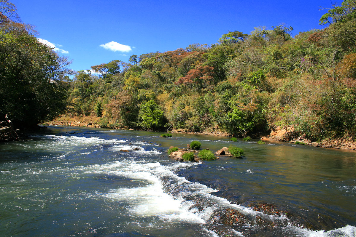 Eleição para composição do Comitê da Bacia hidrográfica do Rio Araguari.